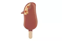 Häagen-Dazs Salted Caramel Ice Cream Stick Häagen-Dazs Salted Caramel Ice Cream Stick