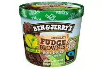 Ben & Jerry's Non Dairy Chocolate Fudge Brownie Ice Cream Mini Cup 100ml