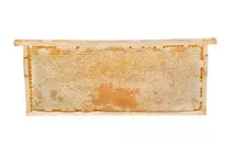 Hilltop Honey Whole Honeycomb Frame 2Kg Hilltop Honey Whole Honeycomb Frame 2Kg