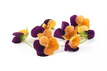 Mixed Edible Flowers