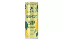 Radnor Infusions Unsweetened Lemon & Mint Flavoured Welsh Sparkling Spring Water 330ml