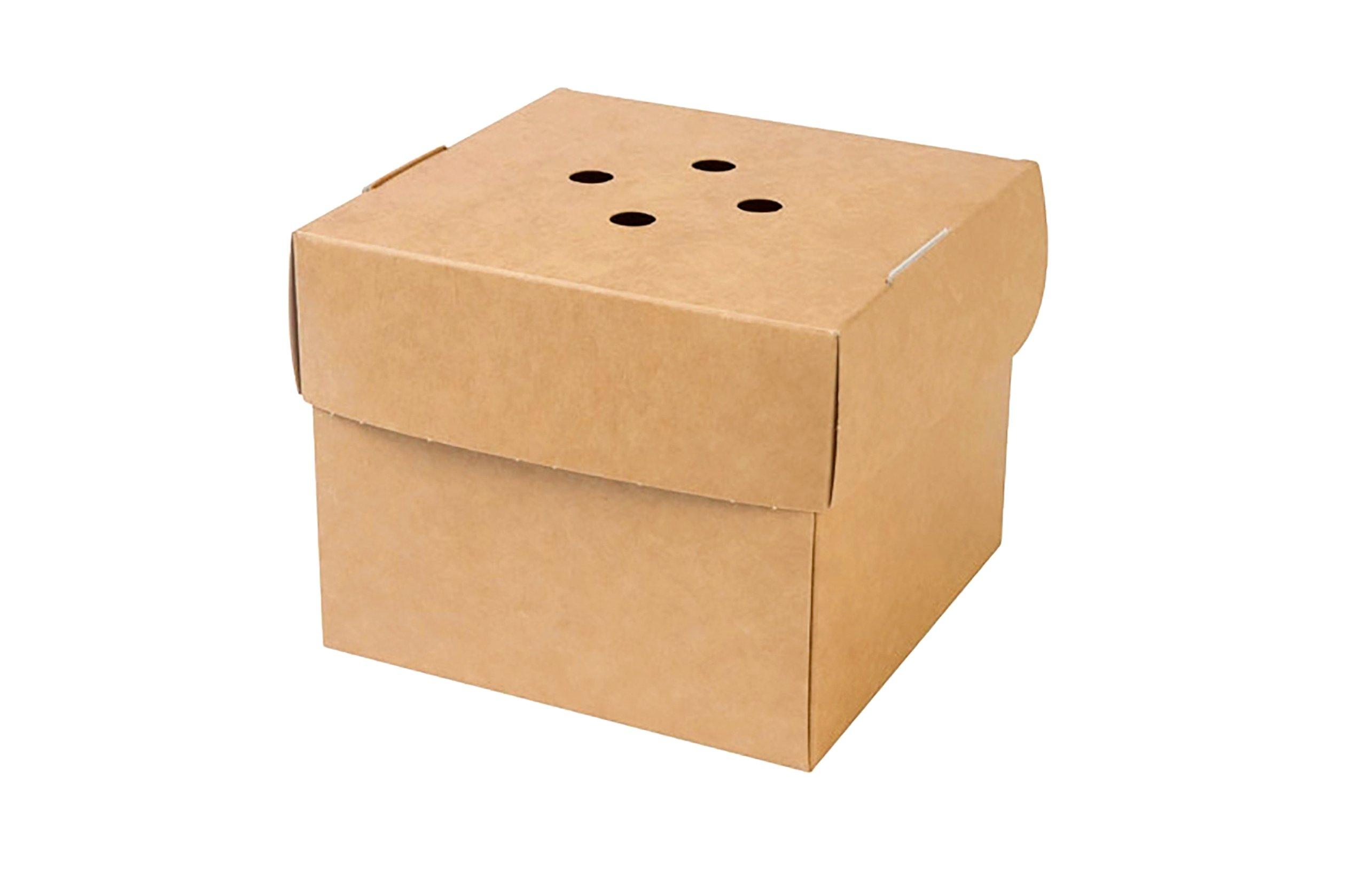 Gourmet Burger Box     1 x 50