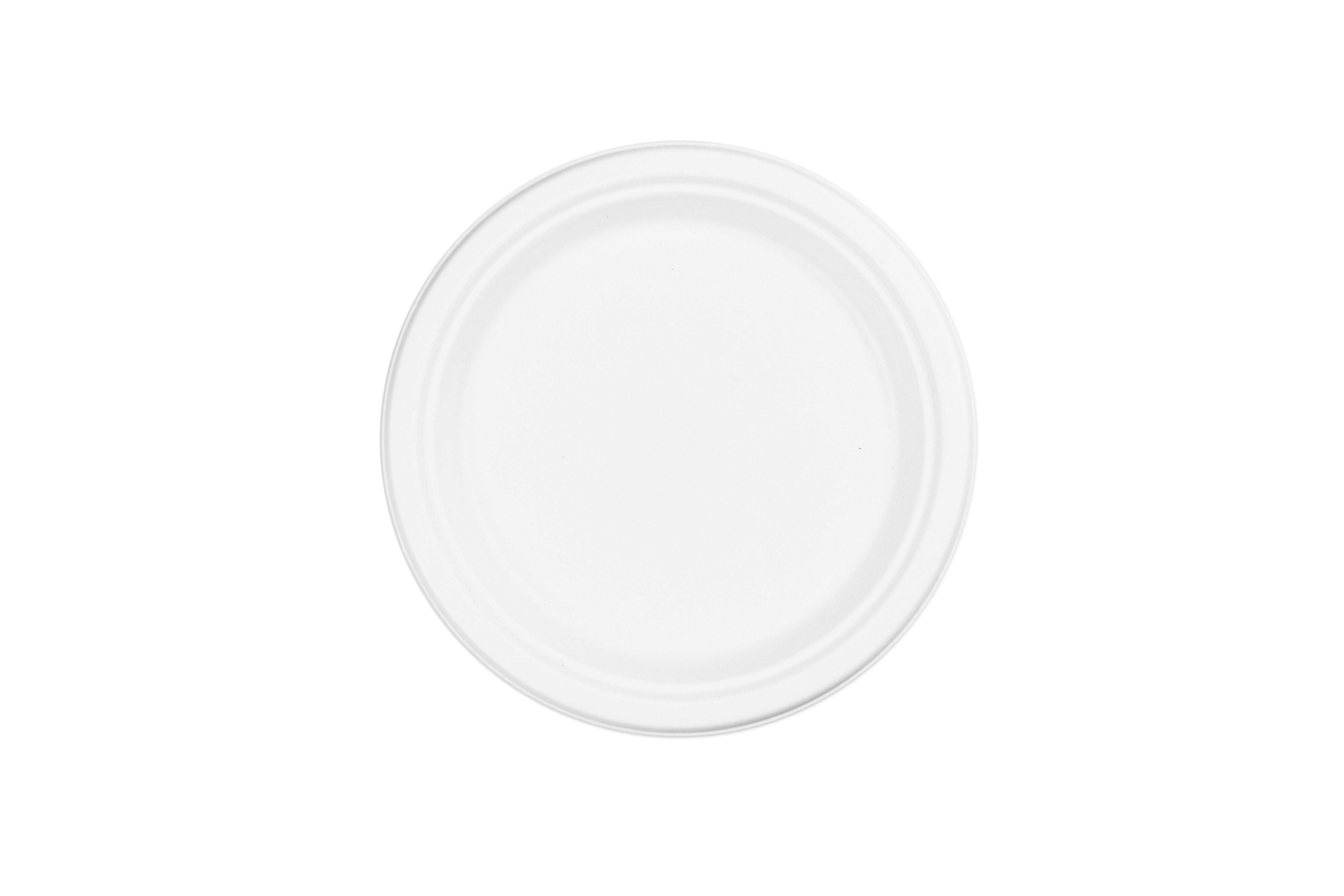 Stock Your Home 6-Inch Paper Plates Uncoated, Everyday Disposable Dessert  Plates 6 Paper Plate Bulk, White, 300 Count