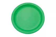 Harfield Green Polycarbonate Rimmed Plate 17cm (6.75")