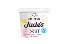 Jude's Ice Cream for Dogs
