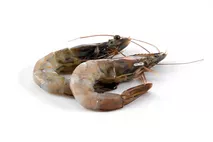Bikini Peeled King Prawns Bikini Peeled King Prawns