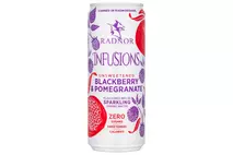 Radnor Infusions Unsweetened Blackberry & Pomegranate Flavoured Welsh Sparkling Spring Water 330ml