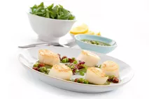 North Atlantic Sea Scallops without Roe 15/20 North Atlantic Sea Scallops without Roe 15/20