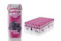 Radnor Fruits Forest Fruit Drink