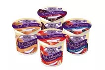 Rowan Glen Rich & Creamy Smoothy Yogurt - Mixed Case