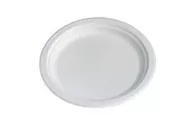 Huhtamaki Plain Chinet Dinner Plate 8.8" /22cm