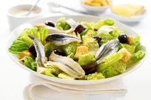 Anchovy Fillets in Sunflower Oil Anchovy Fillets in Sunflower Oil