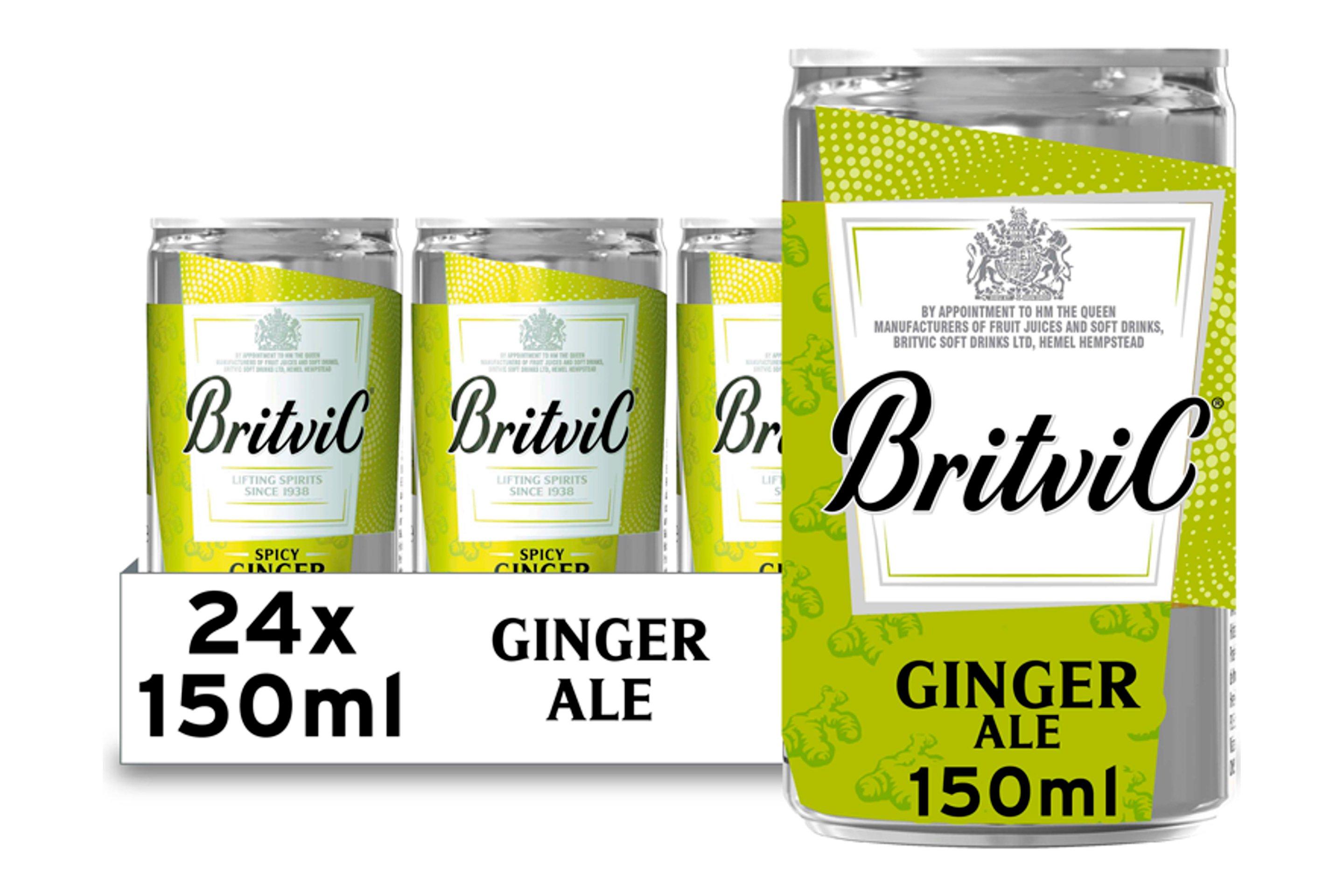 Britvic Spicy Ginger Ale 150ml     24 x 150ml