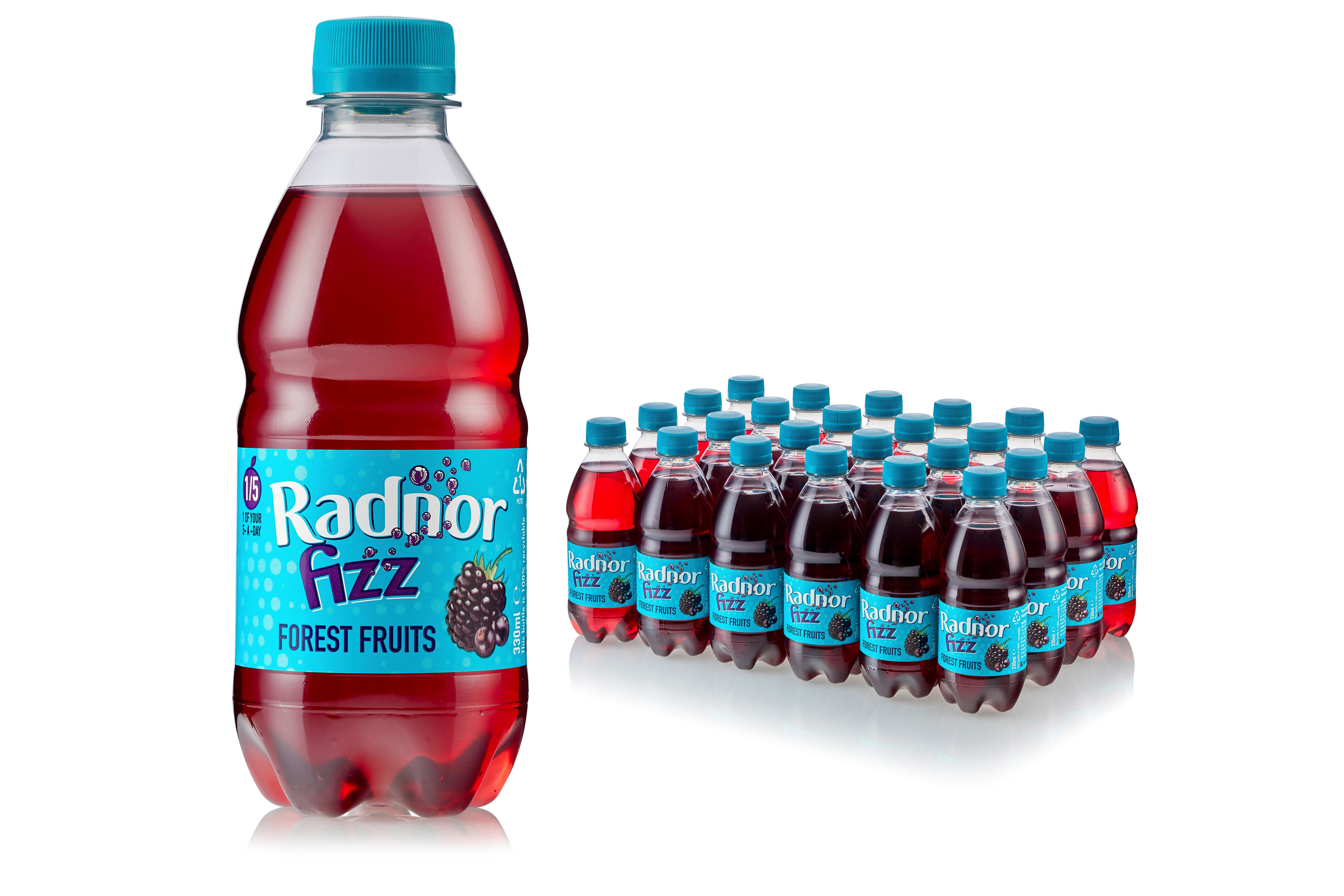 Radnor Fizz Forest Fruits     24 x 330ml