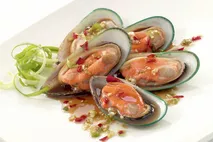 New Zealand Blanched Greenlip Mussels in Half Shell New Zealand Blanched Greenlip Mussels in Half Shell