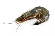 King Prawns (whole, raw, head on, shell on) King Prawns (whole, raw, head on, shell on)