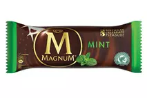 Magnum Mint 100ml