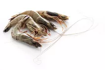 King Prawns (raw, head on, shell on) King Prawns (raw, head on, shell on)