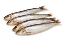 M&J Seafood MSC Cornish Sardines (whole, gut in) M&J Seafood MSC Cornish Sardines (whole, gut in)