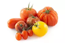Inca Tomatoes