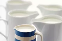 Brakes Fresh Whole Milk Pergal Brakes Fresh Whole Milk Pergal