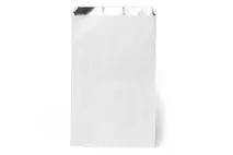 Foil Lined Paper Bags 7x9x12" /17.7x22.8x30.4cm