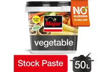 Major Vegetable Stock Base Concentrated Paste Major Vegetable Stock Base Concentrated Paste