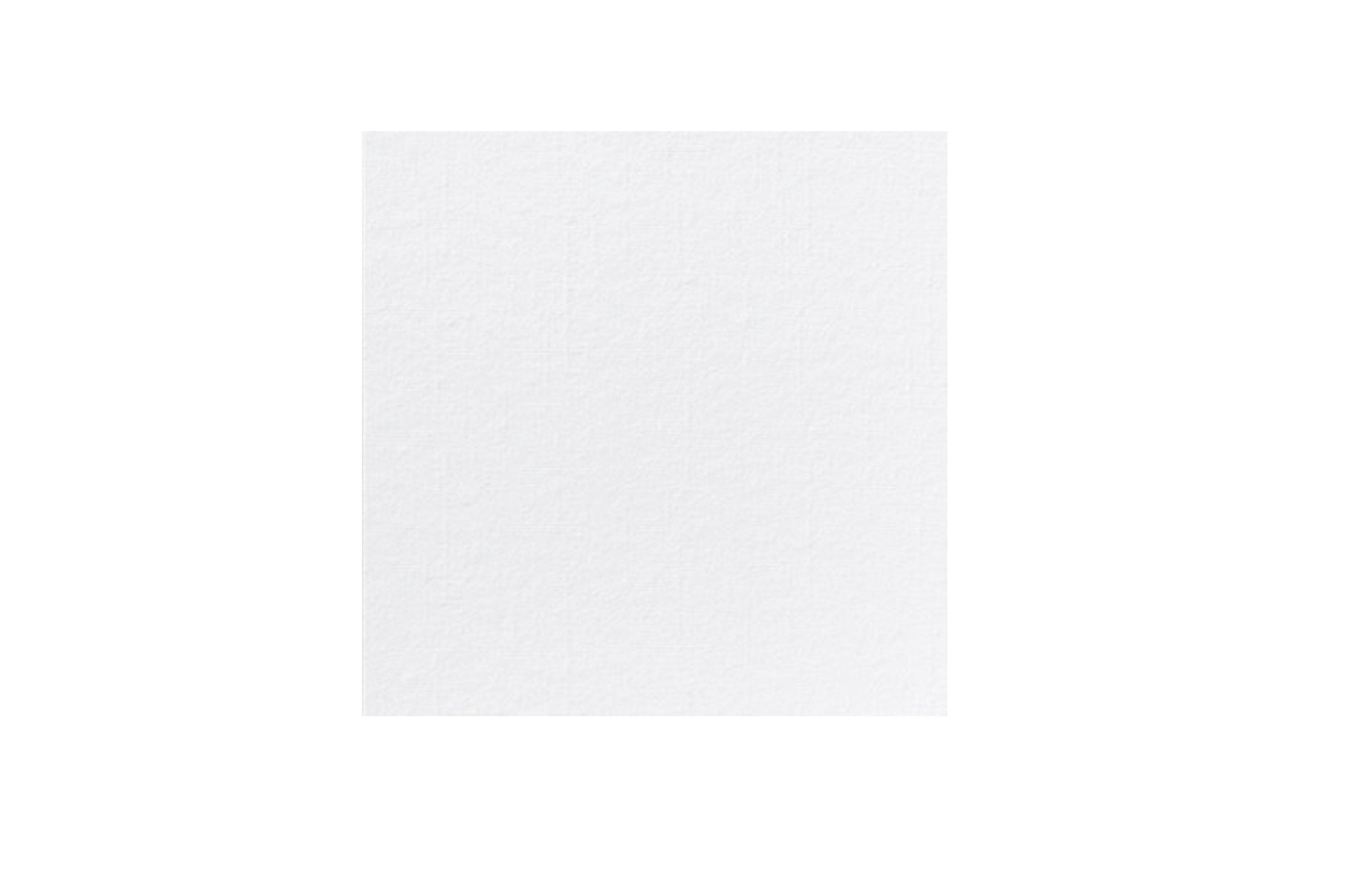Brakes White 2ply Napkin 33cm     2 x 300