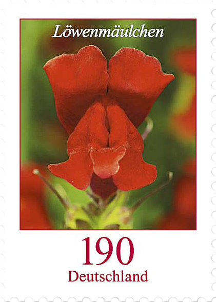 https://www.borek.de/briefmarke-loewenmaeulchen