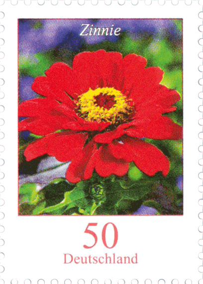 Briefmarke Zinnie https://www.borek.de/briefmarke-zinnie-10er-bogen