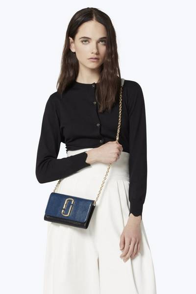 Snapshot Chain Wallet-Alternate view