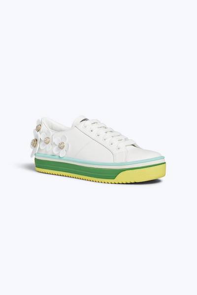 Daisy Multicolor Sneaker