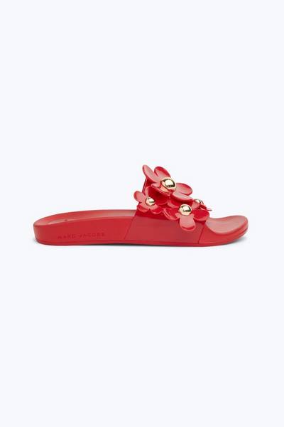 Daisy Slides-Alternate view