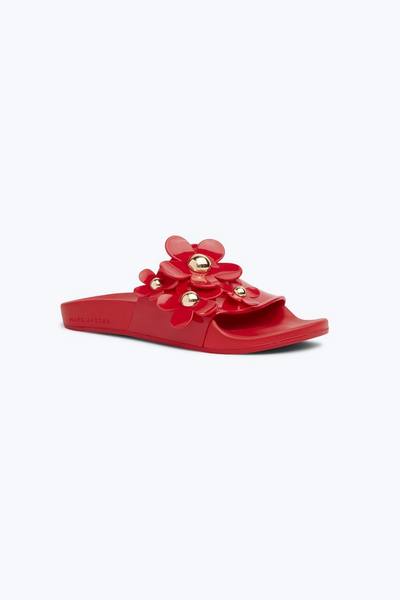 Daisy Slides