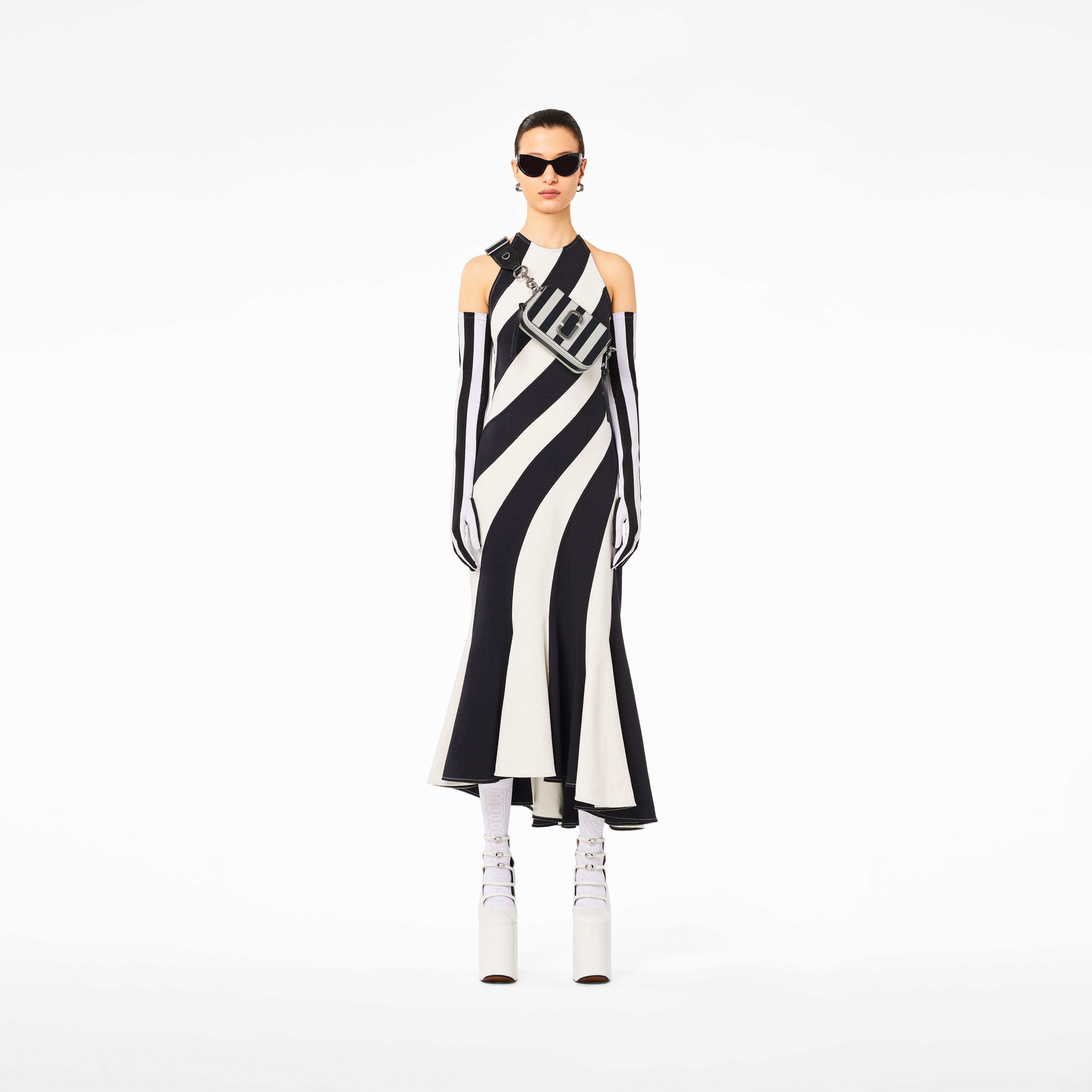 The Striped Snapshot(The Snapshot)