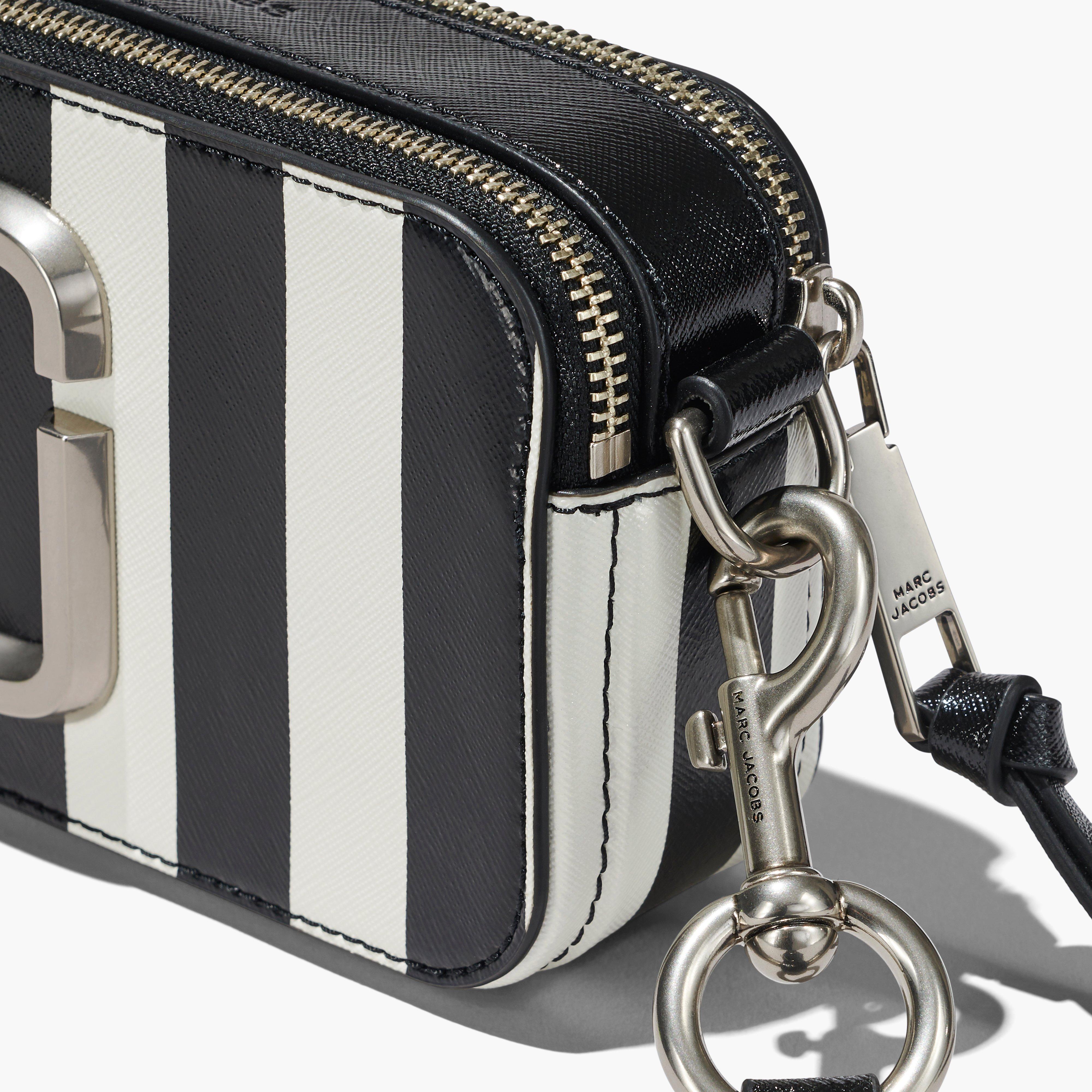 The Striped Snapshot(The Snapshot)