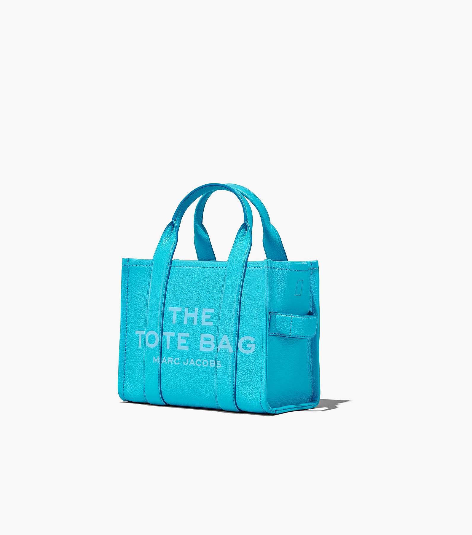 The Leather Mini Tote Bag(The Tote Bag)