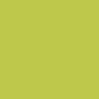 Select color ACID LIME