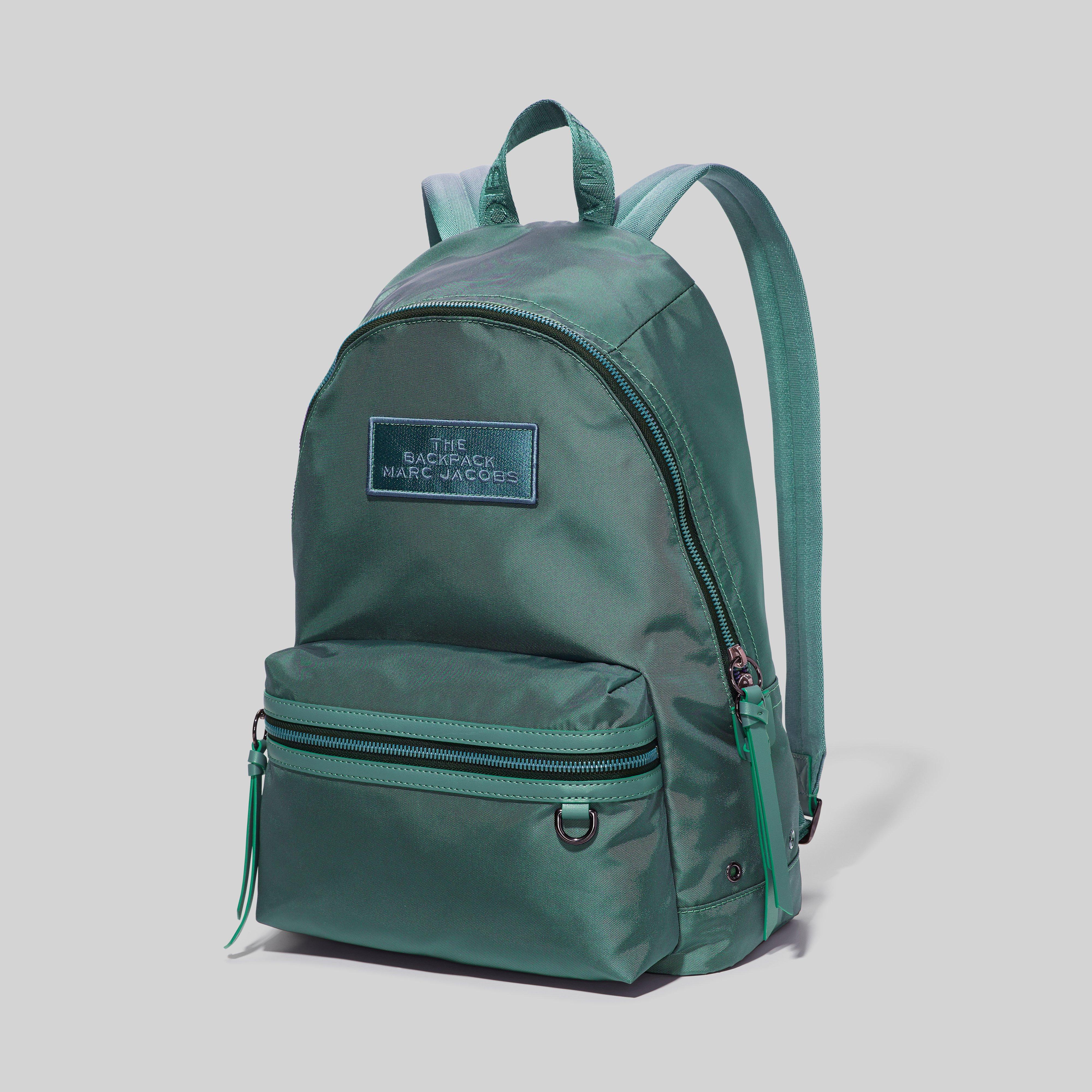 The Large Backpack DTM--Alternate view