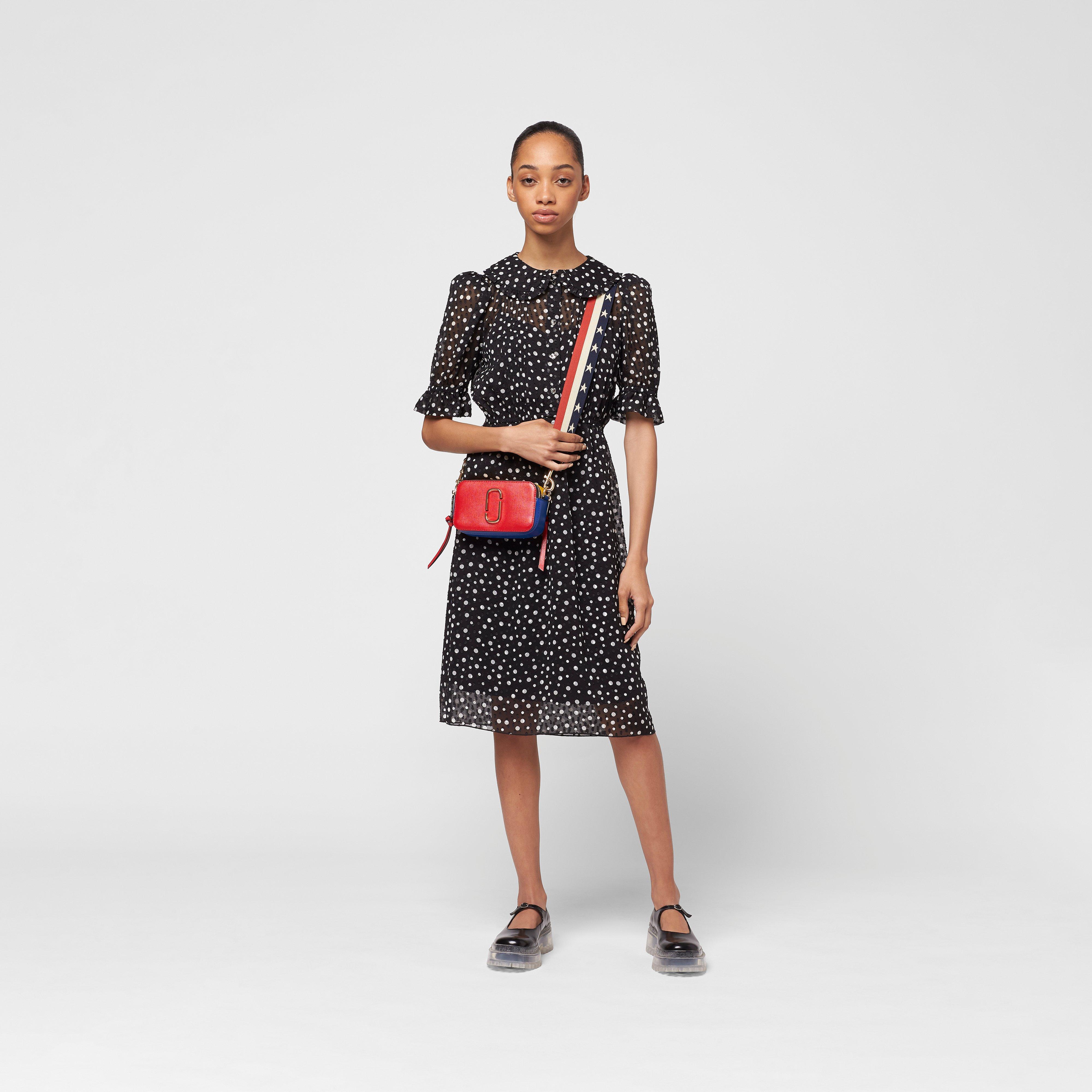 The Snapshot Flag--Alternate view