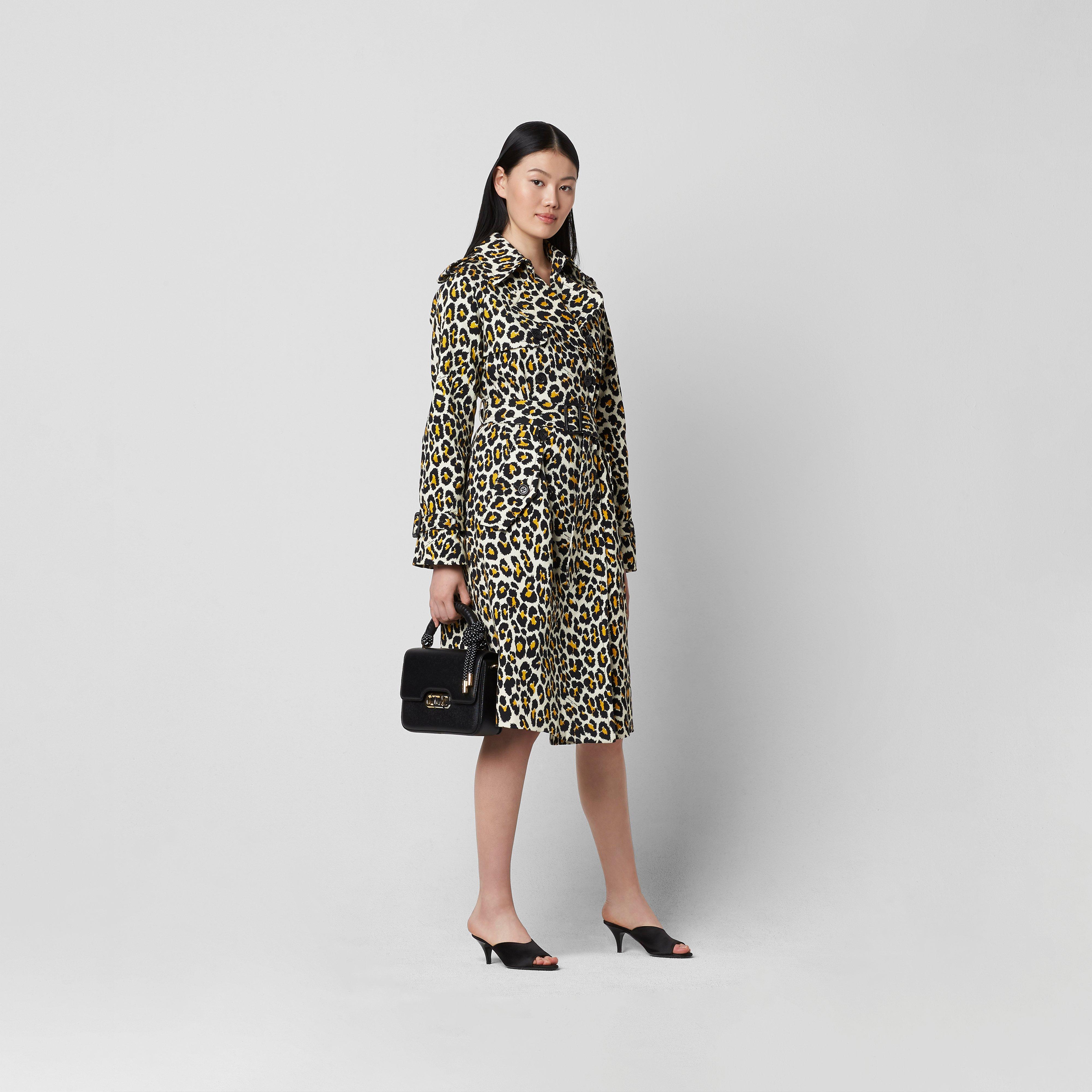 The J Link--Alternate view