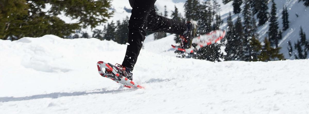 Racing snowshoes clearance