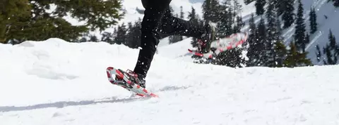 clp banner speed snowshoes