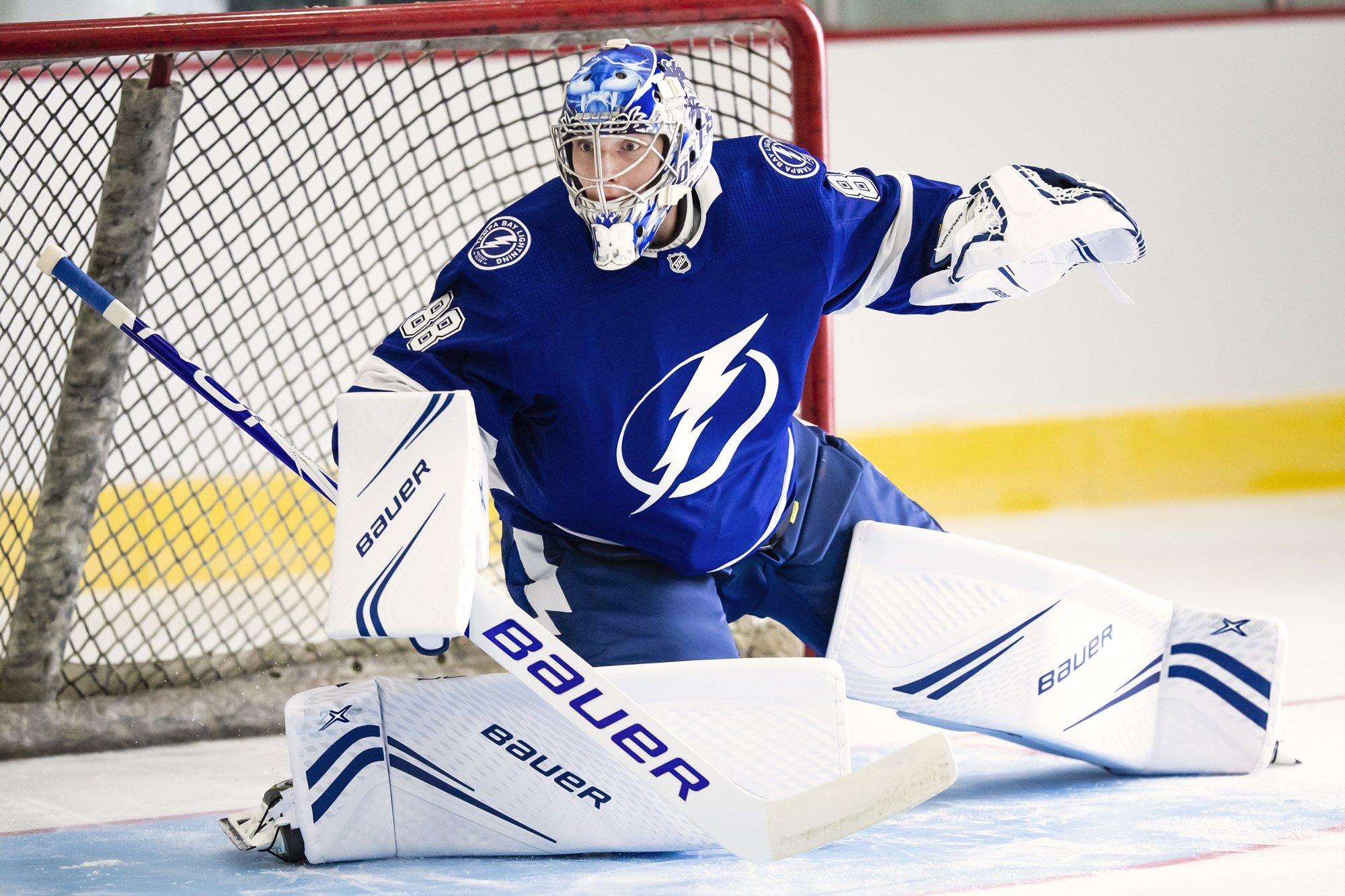 NHL Goalie Bauer Pads