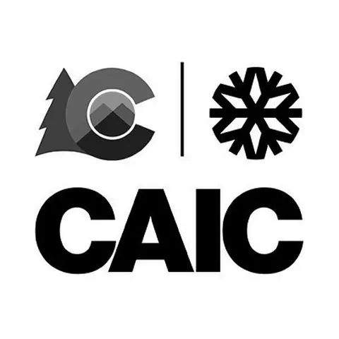 CAIC logo2