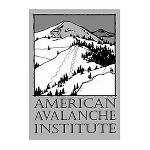 american avalanche institute logo