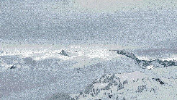 bca snow immersion safety video