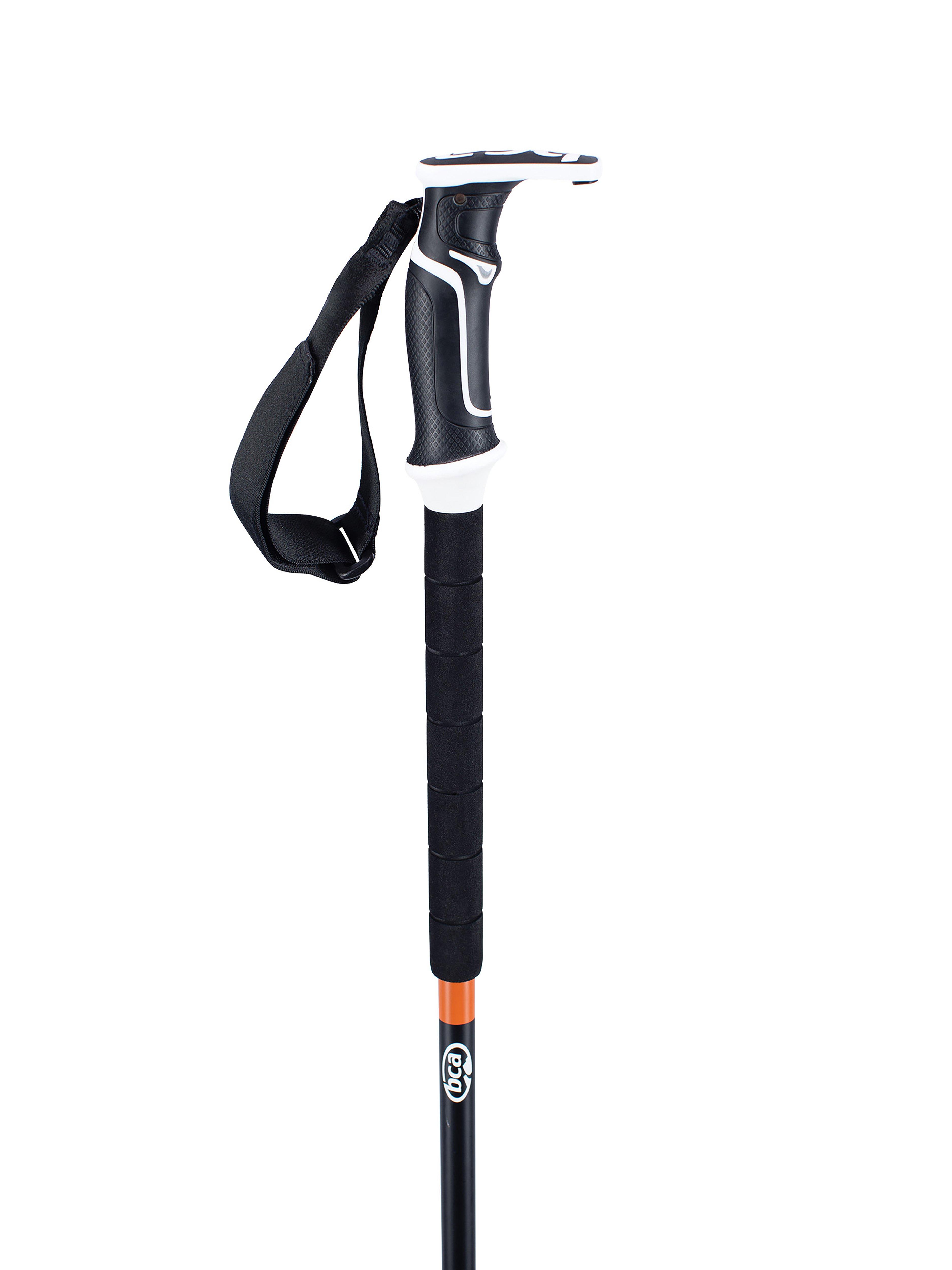 ski pole handle