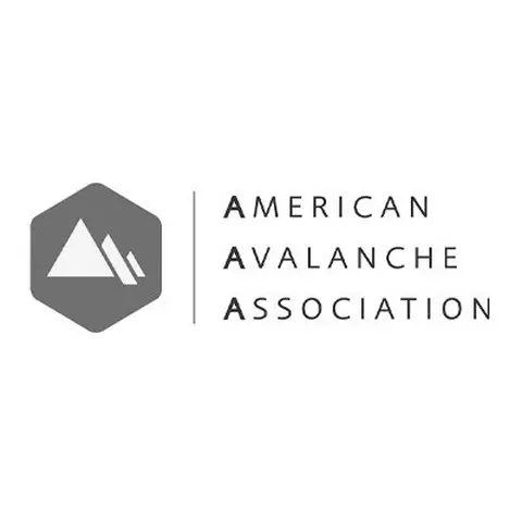 partner logo american avalanche assn