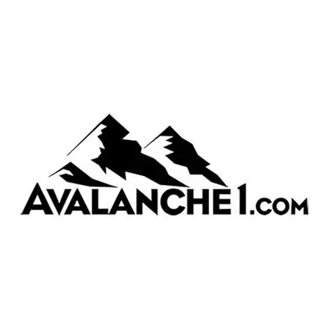 partner logo avalanche1